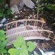 20210816_155024-1.jpg Fairy Bridge Wooden Footbridge