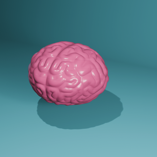 Untitled5-edit.png Skull and Brain Coaster set