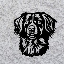 Sin-título.jpg sprollie dog deco wall décoration murale chien