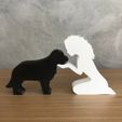 WhatsApp-Image-2022-12-21-at-09.07.48-1.jpeg Girl and her Golden Retriever (wavy hair) for 3D printer or laser cut