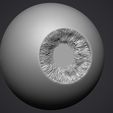 6.jpg Human eye