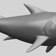 17_TDA0486_SharkA07.png Shark