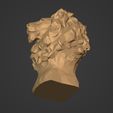 I17.jpg Low Poly Lion Bust