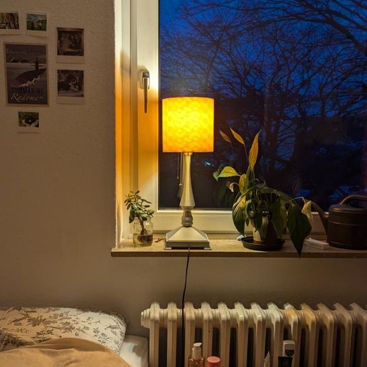 signal-2024-12-25-140359_008.jpeg Lampe Intemporelle