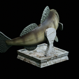 zander-trophy-11.png zander / pikeperch / Sander lucioperca fish in motion trophy statue detailed texture for 3d printing