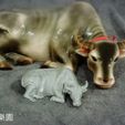 16427673_1058349977608740_5431070754245252433_n.jpg Taiwan Water buffalo (3D scan)台灣水牛