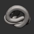 hognose-snakes12.jpg Hognose snakes 3D print model