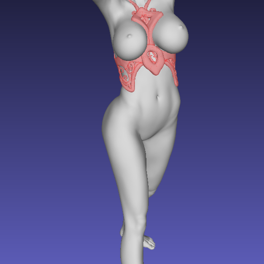 Girl with sexy and thin dress, naked and with minimum clothing -  RemixFree STL File for Cults