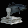 coalfish-open-mouth-statue-box-7.png COALFISH / POLLACHIUS VIRENS trophy with storage space for 3d printing