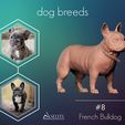 01.jpg French Bulldog model 3D print model