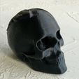 skull_1.jpg Skull