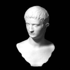 resize-9534ce5ebe0da619969b64720f1c460ac663d3e8.jpg Download free STL file Emperor Gaius at The Metropolitan Museum of Art, New York • 3D printable object, metmuseum