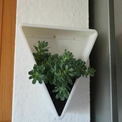 dreieck01.jpg black and white, PLANTS FRAME in triangle with pot
