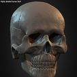 Highly-Detailed-Human-Skull-012.jpg Highly Detailed Human Skull