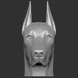 4.jpg Dobermann head for 3D printing