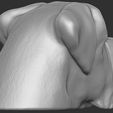 6.jpg English Mastiff head for 3D printing