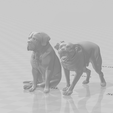 Captura-de-tela-2025-11-08-132710.png dogs
