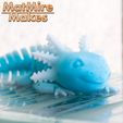 CIX<SS Adorable Articulated Axolotl, Print-In-Place Body, Snap-Fit Head, Cute Flexi