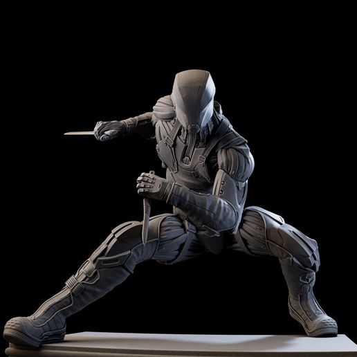 010-2.jpg Cyber Ninja