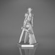 Warrior_2-back_perspectivve.335.jpg ELF WARRIOR FEMALE CHARACTER GAME FIGURE 3D print model