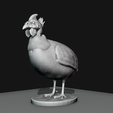 25.png guinea fowl stl