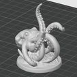 Octopus-1.jpg Octopus Octopus