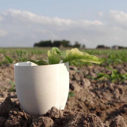f8868753ae4f8fbf0802781d50461cde_display_large.JPG Small flower pot