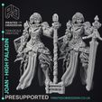 Joan-High-Paladin-1.jpg Joan - Heaven hath no fury - 	PRESUPPORTED - Illustrated and Stats - 32mm scale