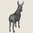 Donkey-08.jpg Donkey
