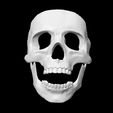 1.jpg Maske ideal für Halloween Tag der Toten Veranstaltungen