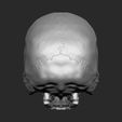 06_Easy-Resize.com.jpg Mexican skull 01