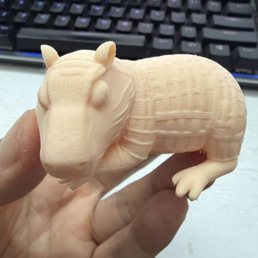 a7b322ca99c486f732f20815909f2d8f.jpg Carpincho