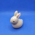 1615917742513.jpg Small rabbit - Petit Lapin