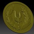 pic-4.jpg SAS Badge / Shield design