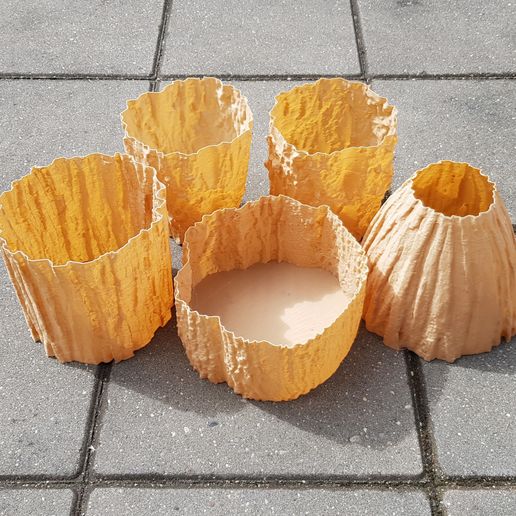 Vase Mode 3D Printing - 3D Scanned Tree Vases - Oak, Birch, and Pine Textures 1000.jpg Archivo STL Textura de pino escaneada en 3D - Para artículos funcionales y decorativos・Design para impresora 3D para descargar, MaxFunkner
