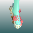 IMG_8115.png Monster High Shoes. Corals