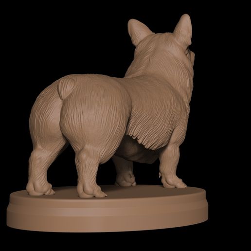13.jpg Corgi