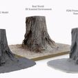 single_tree_stump_turntable_tree_fix_5.jpg 3D Scanned Tree Stump for Tabletop Scatter Terrain