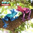 Dan-Sopala-Flexi-Factory-Frog_01.jpg STL file Flexi Print-in-Place Frog Prince and Princess・Model to download and 3D print