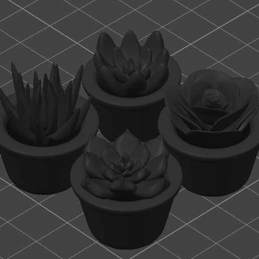 Succulents Set of 4 3D model