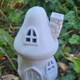 20230616_090206.jpg Mushroom Fairy House