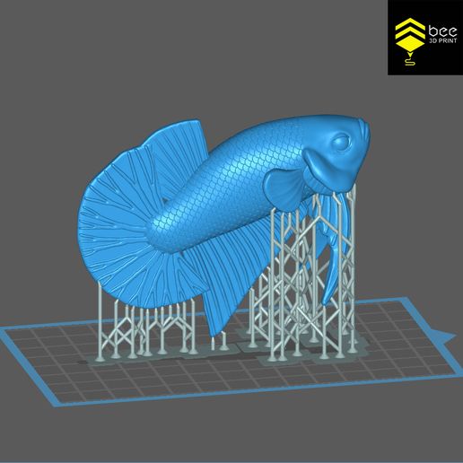 z4176077554623_f759bc3a706bd313856a472b43d20329.jpg Betta Fish 2 - Ready for 3D print