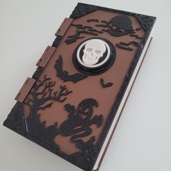 20231017_153327.jpg Simple halloween book box with LED light