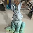 Jouet articulé Bunny Rabbit, print-in-place, cute-flexi
