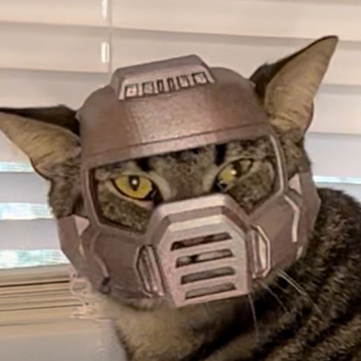 IMG_3213.jpeg Doom Marine Cat Helmet 🔥🔥