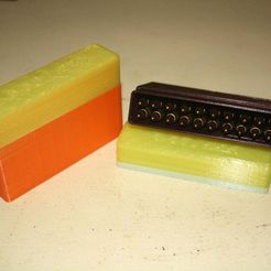 IMG_1817.JPG Free STL file 5.56 / .223 Ammo Storage Box (20 rds)・3D printing design to download