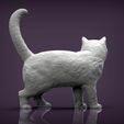 british-shorthair-cat4.jpg british shorthair cat 3D print model