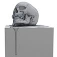 3-d-model-art-scull-3d-model-max-obj-mtl-fbx-stl-wrl-wrz (10).jpg 3D model Art scull 3D print model