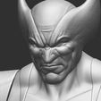 close-2.jpg Wolverine