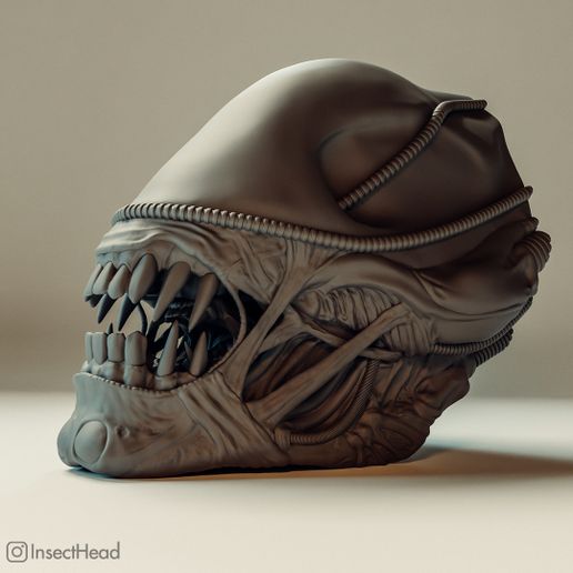 👽 Accurate xenomorph warrior head (Aliens 1986)・ STL File